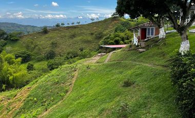 FINCA EN VENTA EN ALCALÁ QUIMBAYA QUINDIO