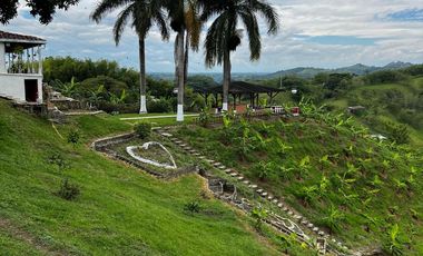 FINCA EN VENTA EN ALCALÁ QUIMBAYA QUINDIO