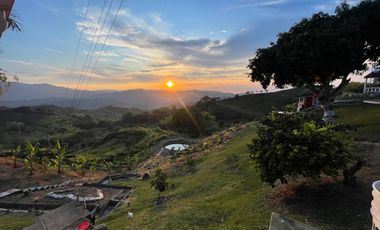 FINCA EN VENTA EN ALCALÁ QUIMBAYA QUINDIO