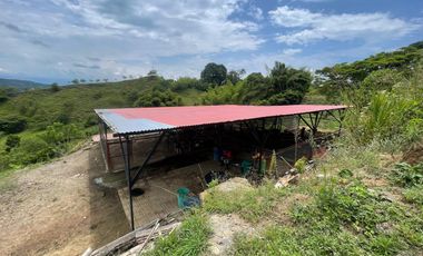 FINCA EN VENTA EN ALCALÁ QUIMBAYA QUINDIO
