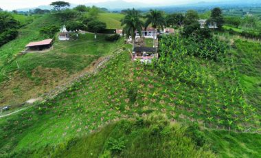 FINCA EN VENTA EN ALCALÁ QUIMBAYA QUINDIO