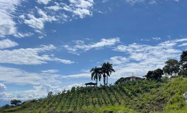 FINCA EN VENTA EN ALCALÁ QUIMBAYA QUINDIO