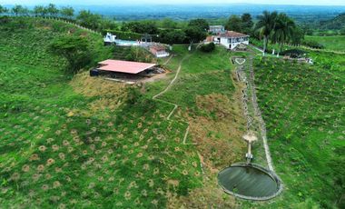 FINCA EN VENTA EN ALCALÁ QUIMBAYA QUINDIO