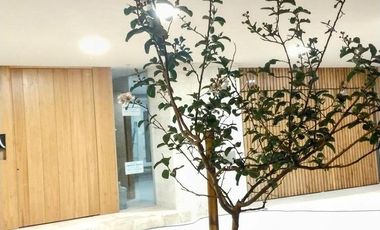 Departamento - Gualeguaychu