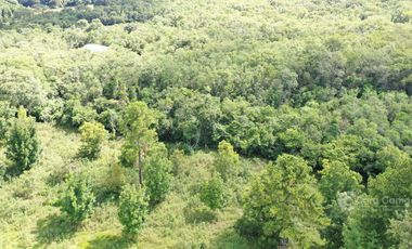 Se vende Chacra de 25 ha con 2 Casas, perforación, laguna, galpon y   en Cerro Corá