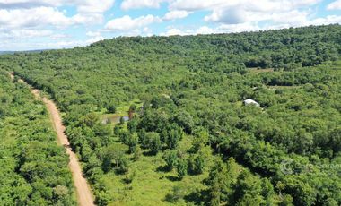 Se vende Chacra de 25 ha con 2 Casas, perforación, laguna, galpon y   en Cerro Corá