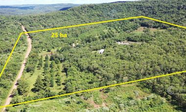 Se vende Chacra de 25 ha con 2 Casas, perforación, laguna, galpon y   en Cerro Corá