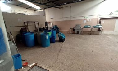 BODEGA EN VENTA EN SAN PEDRITO PEÑUELAS