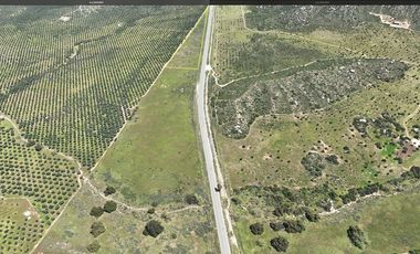 3.27  HA. 680 METROS FRENTE A CARRETERA A LA ENTRADA A SASSI DEL VALLE