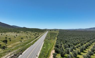 3.27  HA. 680 METROS FRENTE A CARRETERA A LA ENTRADA A SASSI DEL VALLE