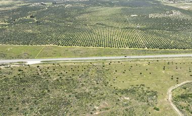 3.27  HA. 680 METROS FRENTE A CARRETERA A LA ENTRADA A SASSI DEL VALLE