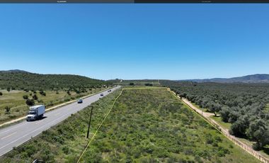 3.27  HA. 680 METROS FRENTE A CARRETERA A LA ENTRADA A SASSI DEL VALLE