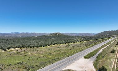 3.27  HA. 680 METROS FRENTE A CARRETERA A LA ENTRADA A SASSI DEL VALLE
