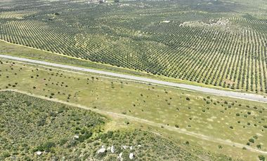 3.27  HA. 680 METROS FRENTE A CARRETERA A LA ENTRADA A SASSI DEL VALLE