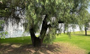 Terreno en Venta en Fraccionamiento Residencial La Conchita, Coyoacán