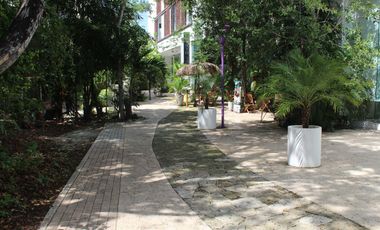 Local comercial en la calle más transitada de Aldea Zamá