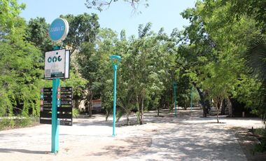 Local comercial en la calle más transitada de Aldea Zamá