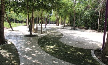 Local comercial en la calle más transitada de Aldea Zamá