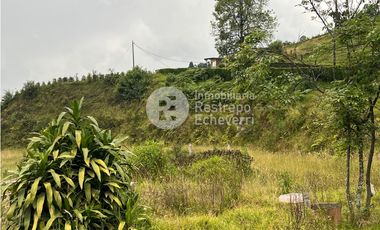 Lote en arriendo Malteria, Manizales