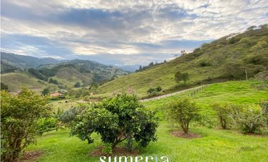 Casa campestre en  venta  el Retiro sector Montebello