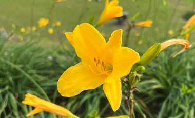 Vendo Hermosa Casa En Dapa