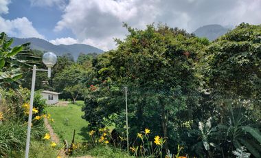 Vendo Hermosa Casa En Dapa