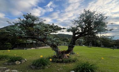 Vendo Hermosa Casa En Dapa