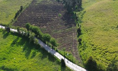 🌳 ¡Espectacular Finca En Sibaté!  14 Fanegadas. Vía Pavimentada