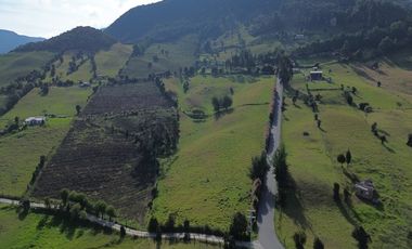 🌳 ¡Espectacular Finca En Sibaté!  14 Fanegadas. Vía Pavimentada