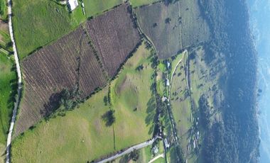 🌳 ¡Espectacular Finca En Sibaté!  14 Fanegadas. Vía Pavimentada
