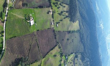 🌳 ¡Espectacular Finca En Sibaté!  14 Fanegadas. Vía Pavimentada