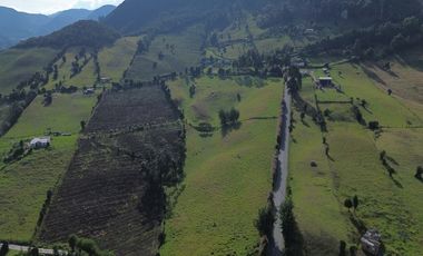🌳 ¡Espectacular Finca En Sibaté!  14 Fanegadas. Vía Pavimentada
