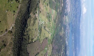 🌳 ¡Espectacular Finca En Sibaté!  14 Fanegadas. Vía Pavimentada