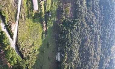 🌳 ¡Extraordinaria Finca Con Reserva Natural! | 9 Fanegadas | 2 Casas | Vía Pavimentada En Sibaté