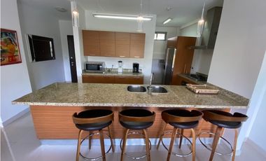 ALQUILER APARTAMENTO PANAMA PACIFICO PH SOLEO yl