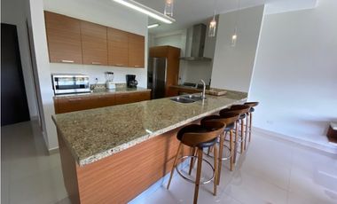 ALQUILER APARTAMENTO PANAMA PACIFICO PH SOLEO yl