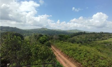 Finca en venta de 5.5  has La Florida - Capira (DR)