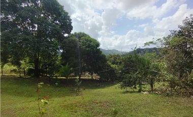 Finca en venta de 5.5  has La Florida - Capira (DR)
