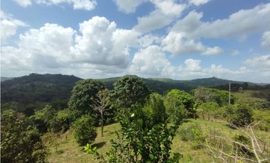 Finca en venta de 5.5  has La Florida - Capira (DR)