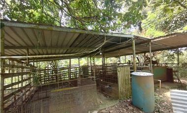 Finca en venta de 5.5  has La Florida - Capira (DR)
