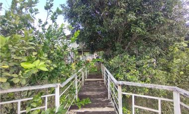Finca en venta de 5.5  has La Florida - Capira (DR)