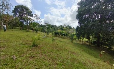Finca en venta de 5.5  has La Florida - Capira (DR)