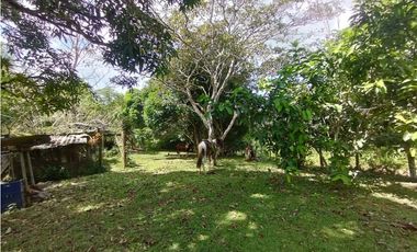 Finca en venta de 5.5  has La Florida - Capira (DR)