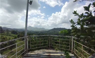 Finca en venta de 5.5  has La Florida - Capira (DR)