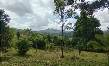 Finca en venta de 5.5  has La Florida - Capira (DR)