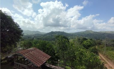 Finca en venta de 5.5  has La Florida - Capira (DR)