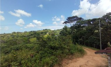 Finca en venta de 5.5  has La Florida - Capira (DR)