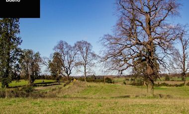 Venta de Parcelas con Credito Directo en Osorno, Los Lagos