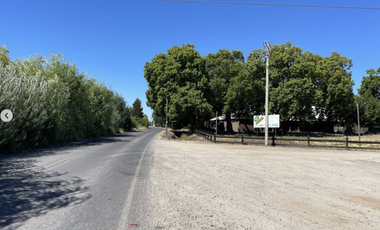 Se venden 3 últimos terrenos de 5.000 m2, Granja María 2