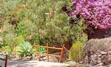 Parcela en Venta en molle